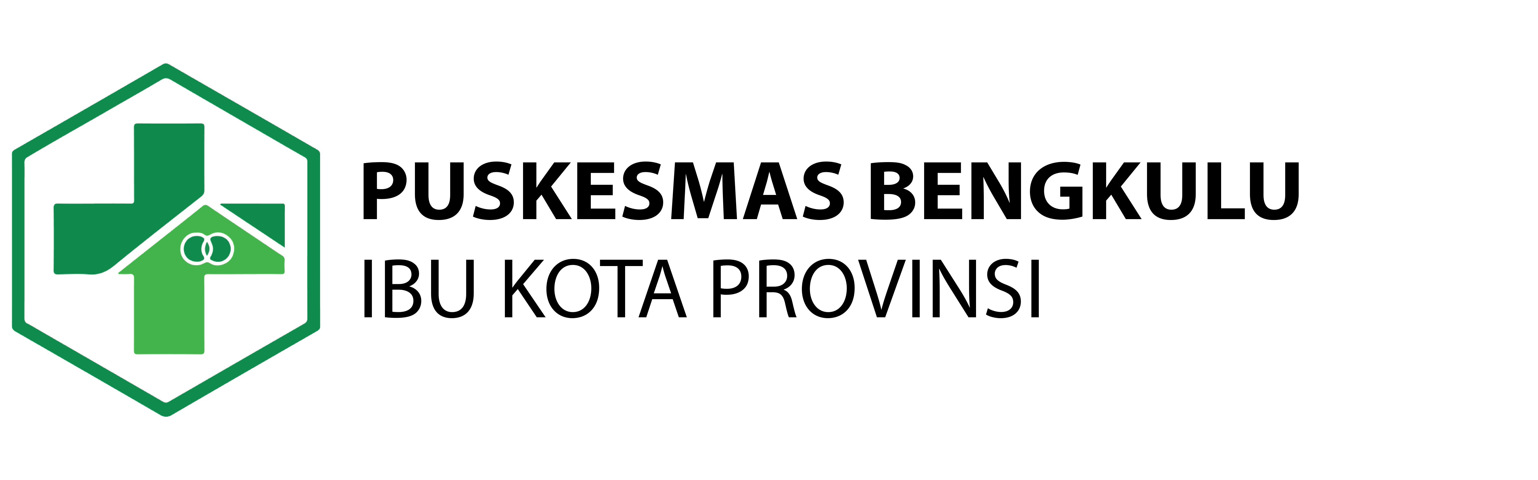 Logo Puskesmas